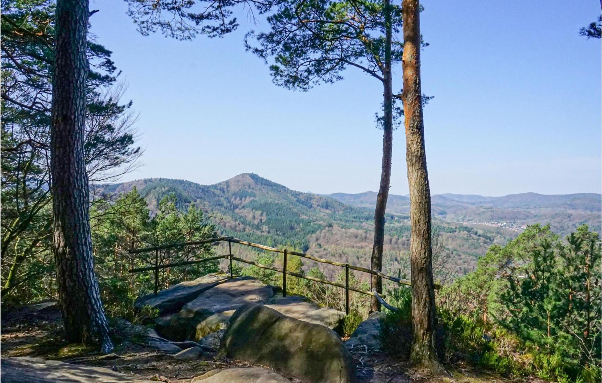 Amazing Apartment In Hinterweidenthal With Wifi Zewnętrze zdjęcie